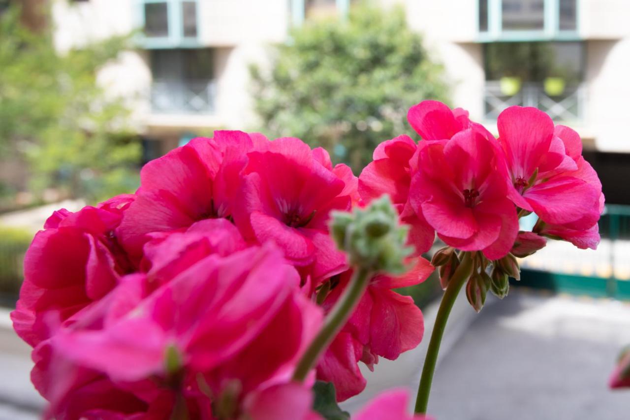 Boutique Apartment La Lavande Free Parking 10 Min Walk نيس المظهر الخارجي الصورة